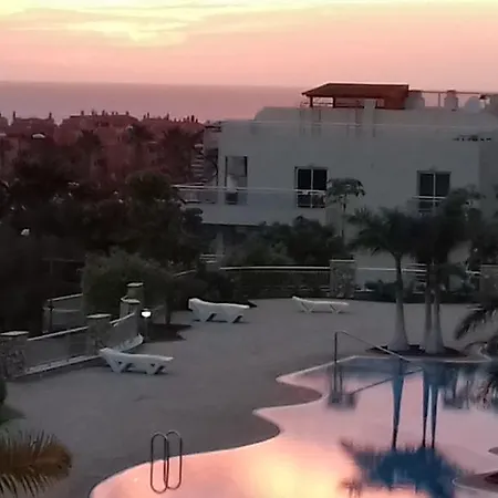Sunset Daire Palm-mar